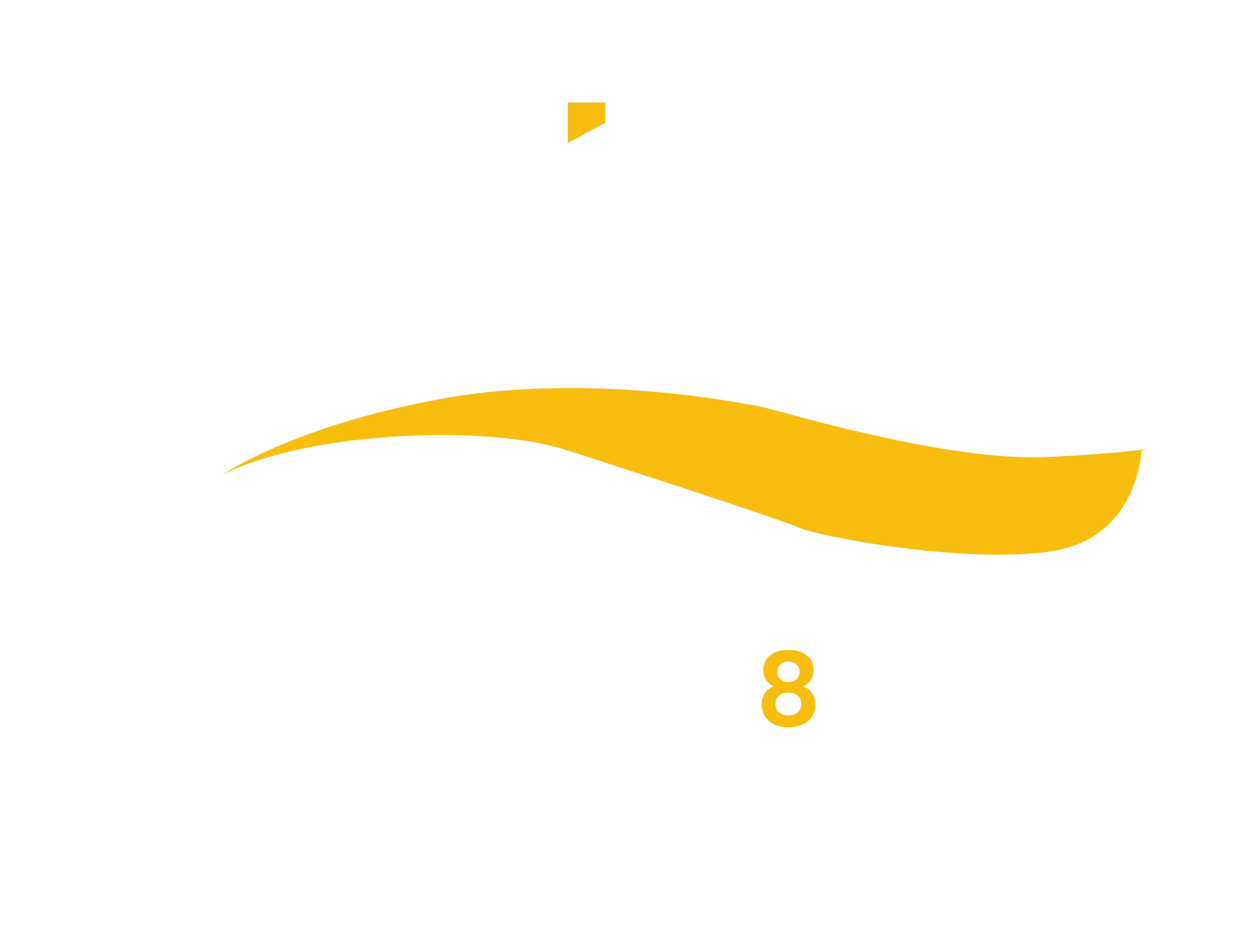 Buy Section 8 Homes logo